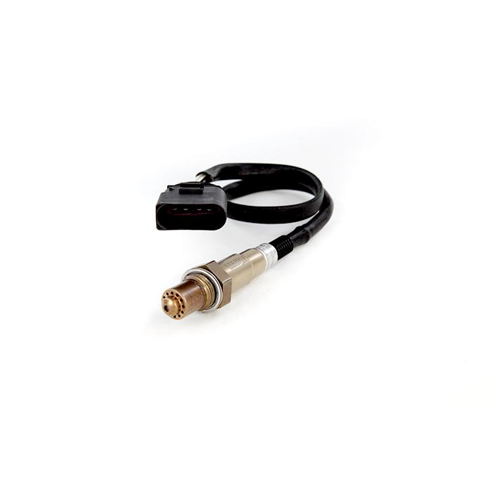 SKLS-0140019