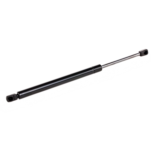 SKGS-0220251