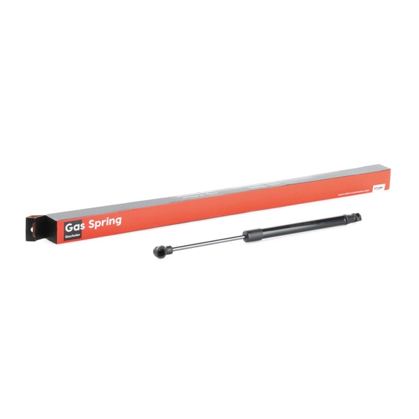 SKGSR-3970001