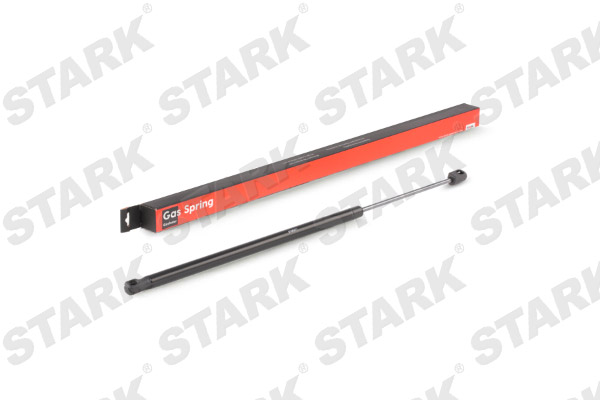 SKGS-0220481
