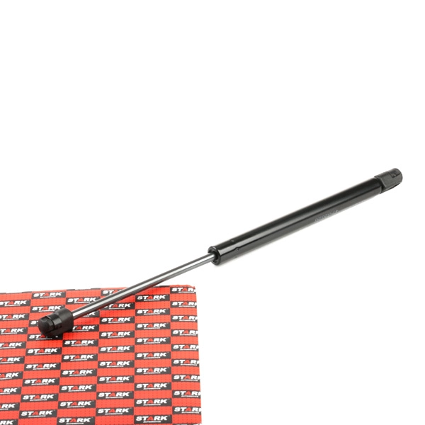 SKGS-0220973