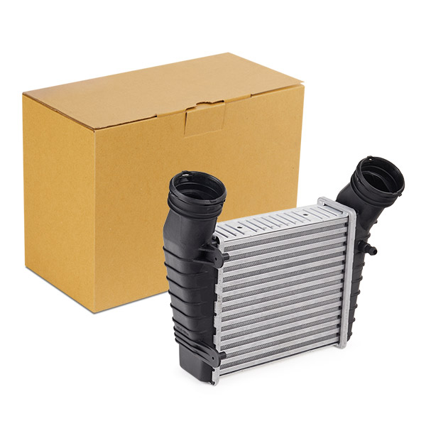 SKICC-0890008