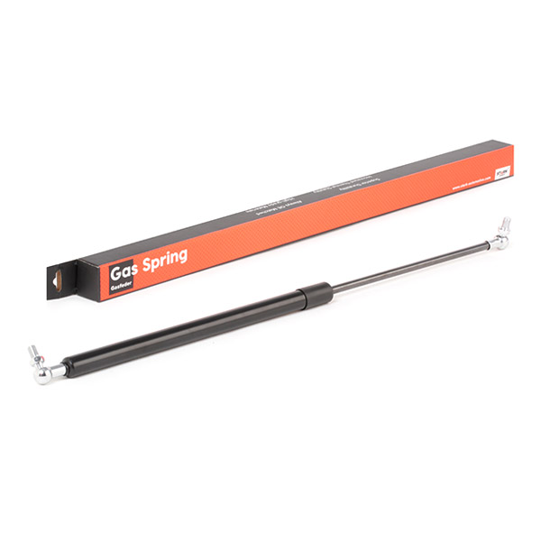 SKGS-0220894