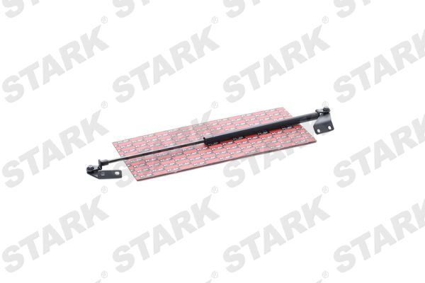 SKGS-0220866
