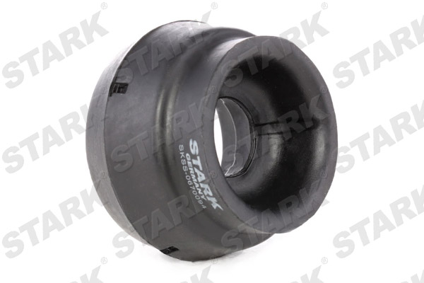 SKSS-0670094