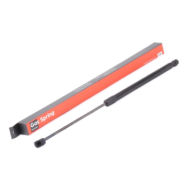 SKGS-0220919