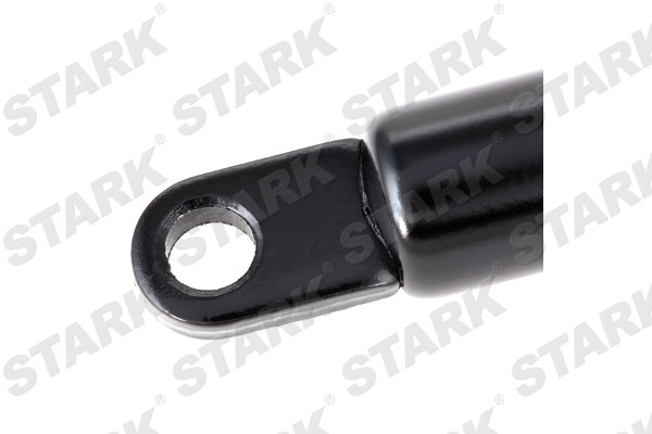 SKGS-0220448