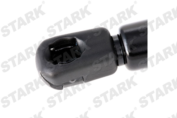SKGS-0220590