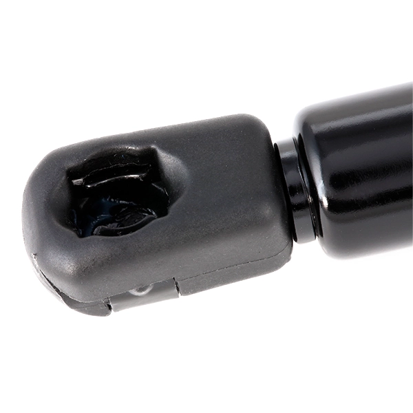 SKGS-0220295