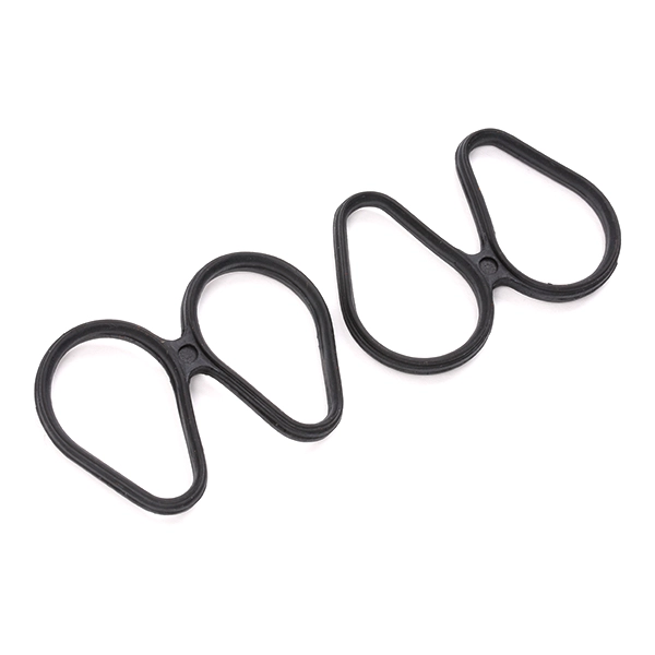 SKGSI-2210009