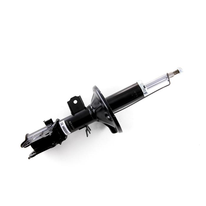 SKSA-0131026