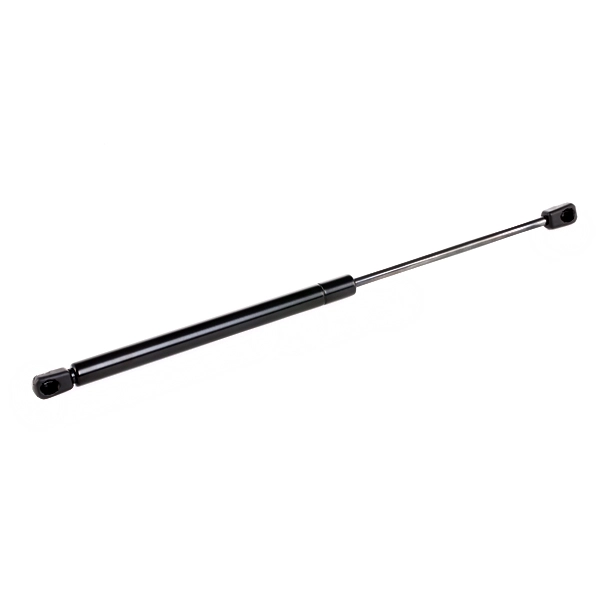 SKGS-0220260