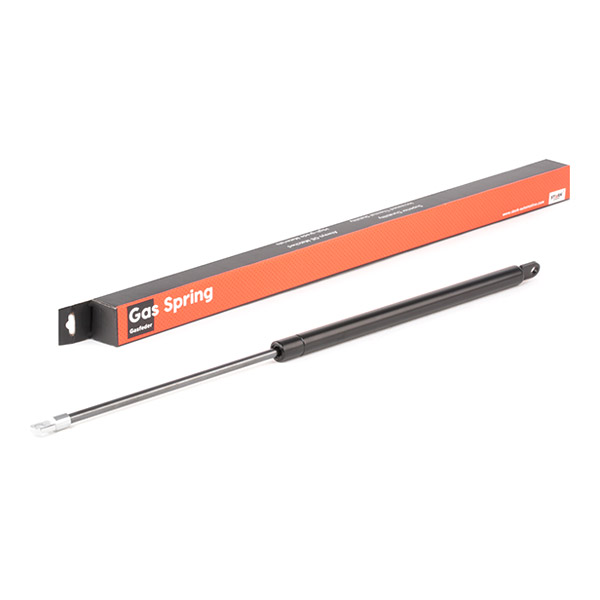 SKGS-0220774