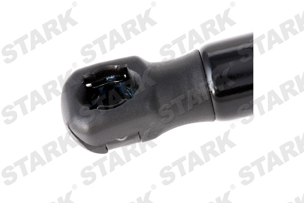 SKGS-0220538