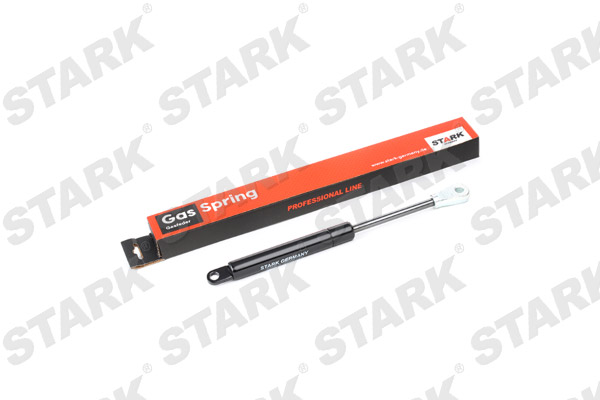 SKGS-0220551