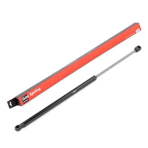 SKGS-0220579