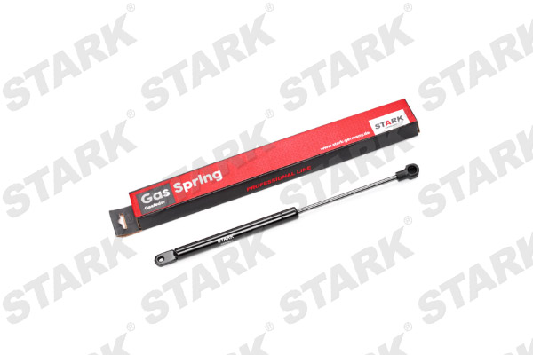 SKGS-0220519