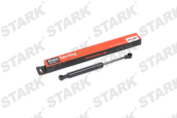 SKGS-0220533