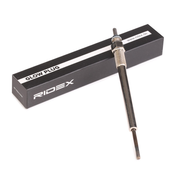 243G0019