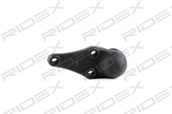 2462S0155