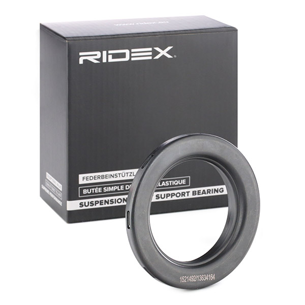 RNR100080
