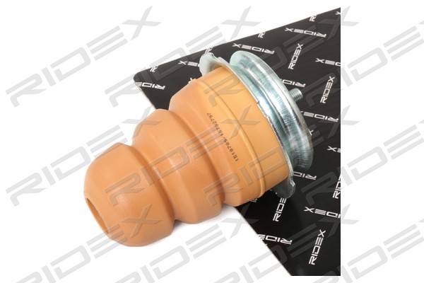 1182R0050