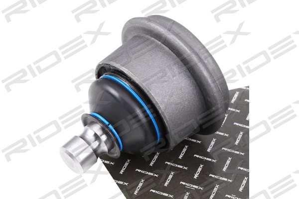 2462S0425