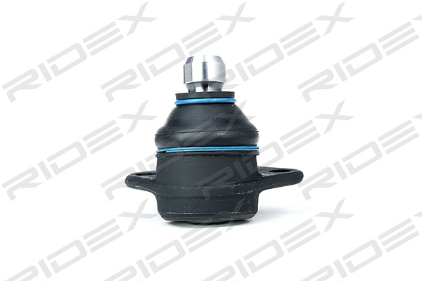2462S0079