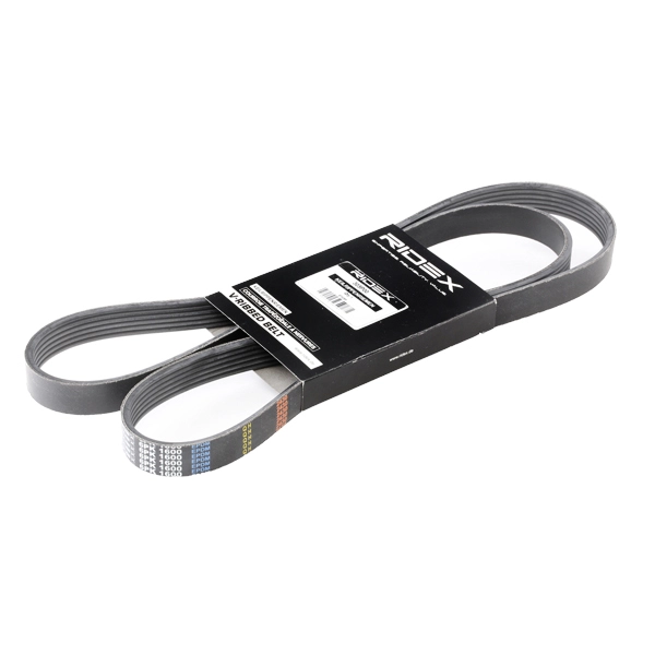 305P0250