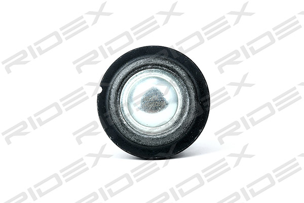 2462S0094