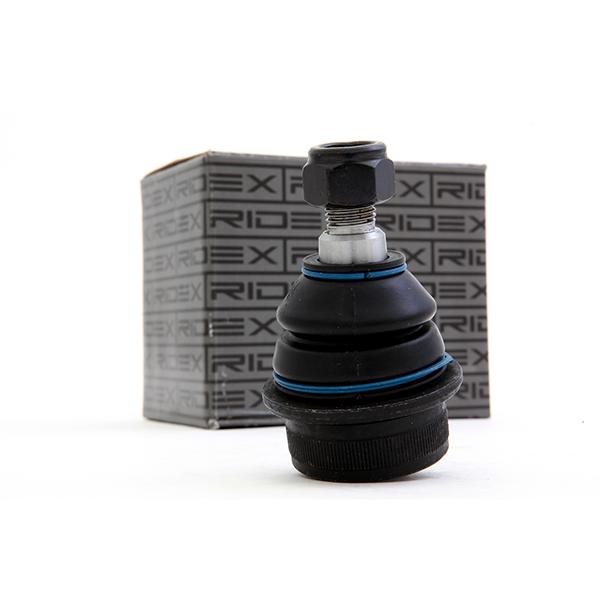 2462S0081