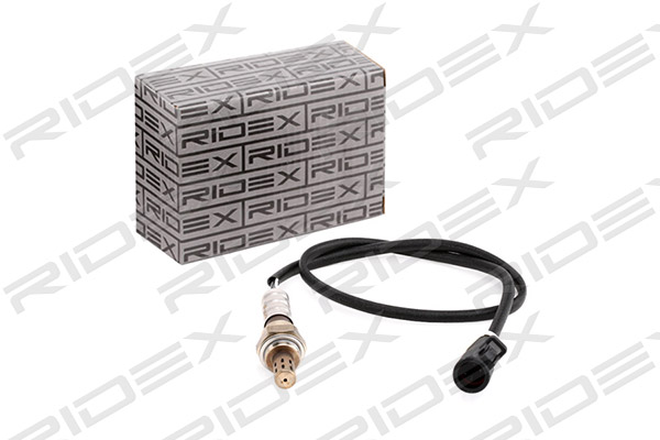 3922L0195
