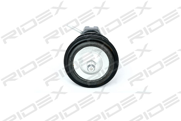 2462S0062