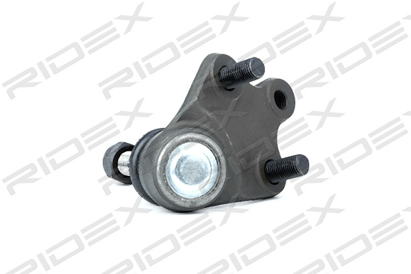 2462S0204