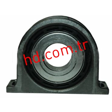 HD 10100