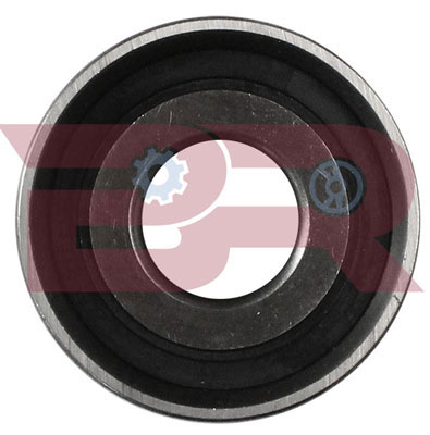 BRM2484