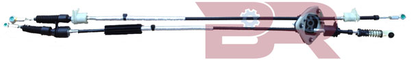 BRC9881