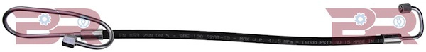 BRCA3610