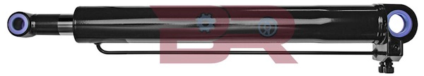 BRCA2817