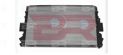 BRAC7905