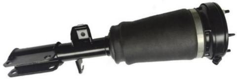 AS1010