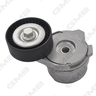 GAT31050