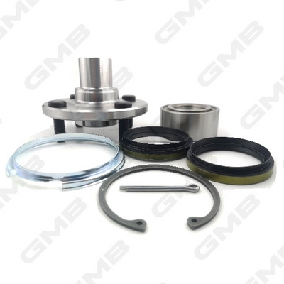 GH10100