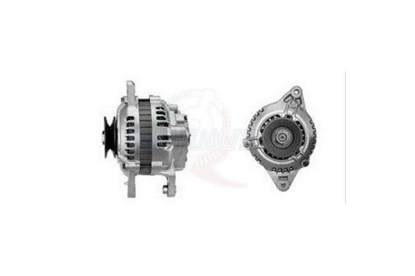 ALGE01240