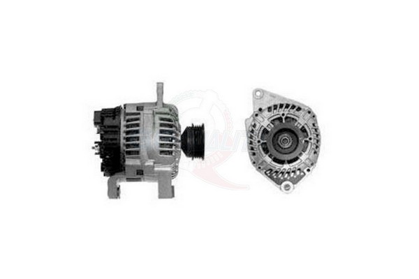 ALGE01011
