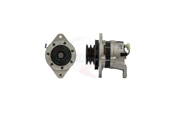 ALGE01677