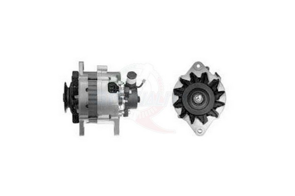 ALGE01268