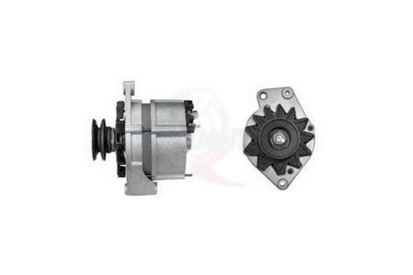ALGE00859