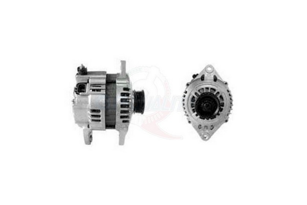 ALGE01530