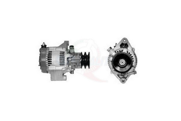 ALGE01298